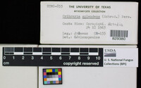 Image Associated With the Occurence